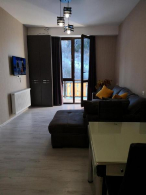Didveli Residence D44